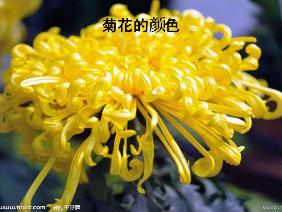 c98472e94fb0455196a8b7eea308c37e.jpg