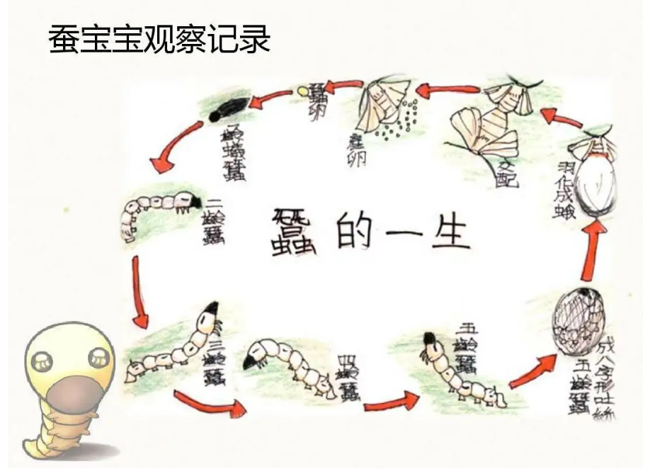 b490903514ed43d68e08057aefe6af9d.png