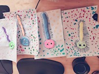 【活动剪影】鸵鸟