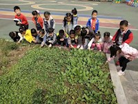 【精彩瞬间】饭后散步