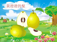 【教学内容】中班语言：秋的画报 