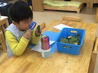 【精彩瞬间】科学区叶子的秘密