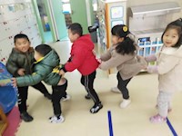 【精彩瞬间】老鹰捉小鸡