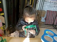 【活动剪影】—科学大探究