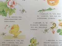 【教学内容】中班语言：小花籽找快乐