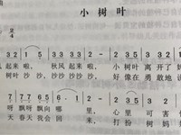 【教学内容】音乐：小树叶