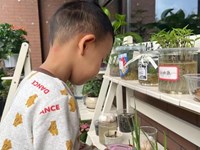 【活动剪影】浇浇水