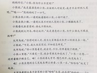 【教学内容】社会：孤独的小熊