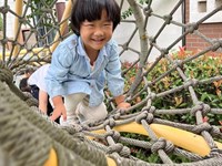 【精彩瞬间】钻爬