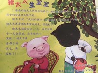 【教学内容】大班科学：我长的像谁