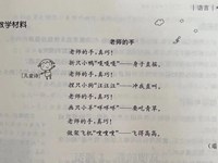 【教学内容】语言：老师的手