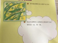 【教学内容】大班科学:动物的自我保护