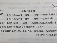 【教学内容】语言：小兔子上山咯