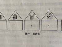 【教学内容】数学：我们的好邻居