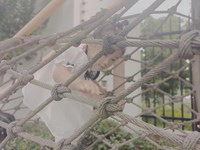 【活动剪影】钻钻乐