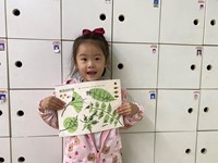 【教学内容】美术：美丽的叶脉