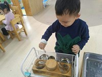 【活动剪影】自主点心