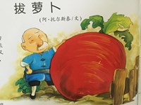 【教学内容】语言：拔萝卜