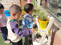 【精彩瞬间】照顾花花草草