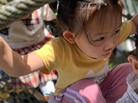 【活动剪影】好玩的攀爬