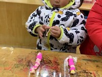 【活动剪影】毛毛虫