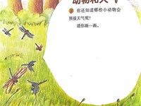 【教学内容】科学：动物和天气