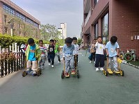 【活动剪影】好玩的小车车