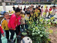 【精彩瞬间】寻找春天