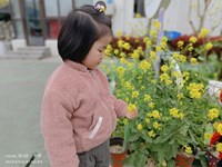 【精彩瞬间】校园春游