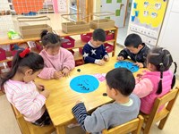 【精彩瞬间】池塘里的蝌蚪