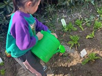 【活动剪影】浇浇水