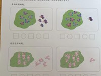 【教学内容】大班数学：9的加法运算