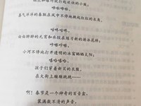 语言活动：春节是个百音盒