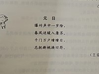 语言活动：元日