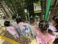 【精彩瞬间】散步奇遇