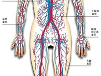 【教学内容】大班科学：流血了，结痂了