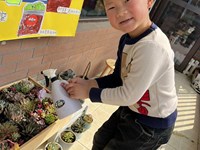 【活动剪影】花草养护员