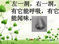 教学内容】健康：气味真正多