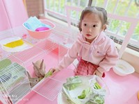 【精彩瞬间】喂养小兔子
