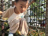 【精彩瞬间】欢乐攀爬架