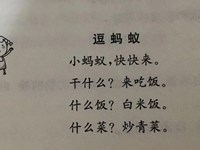 【教学内容】语言：逗蚂蚁