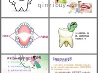 【教学内容】科学：牙齿的秘密