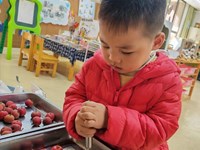 精彩瞬间：山楂去核