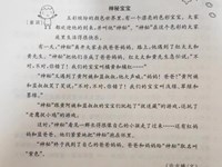 教学活动：语言：神秘宝宝