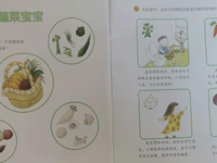 【教学内容】健康：蔬菜宝宝我爱你