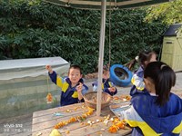 【精彩瞬间】穿挂橘皮