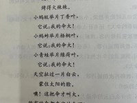 【教学内容】语言：谁的伞大