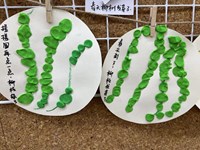 【教学内容】美术：柳树姑娘